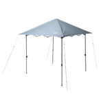 COLEMAN OASIS LITE 10X10 CANOPY FOG