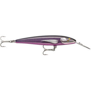 RAPALA COUNTDOWN MAGNUM ELITE 145 ARMORED PURPLE MACKEREL