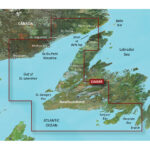 GARMIN VCA008R NEWFOUNDLAND WEST BLUECHART G3 VISION
