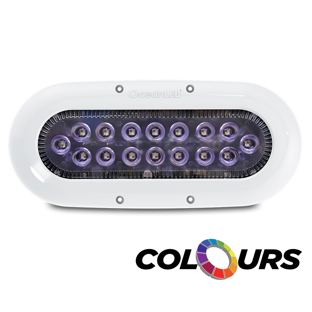 OCEAN LED X-SERIES X16 COLOURS