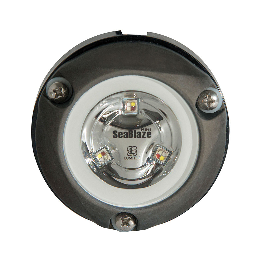 LUMITEC ZAMBEZI MINI SURFACE MOUNT UNDERWATER LIGHT