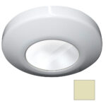 I2SYSTEMS PROFILE P1101Z 2.5W SURFACE MOUNT LIGHT
