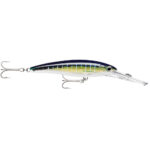 RAPALA X-RAP MAGNUM 15 SAILFISH UV