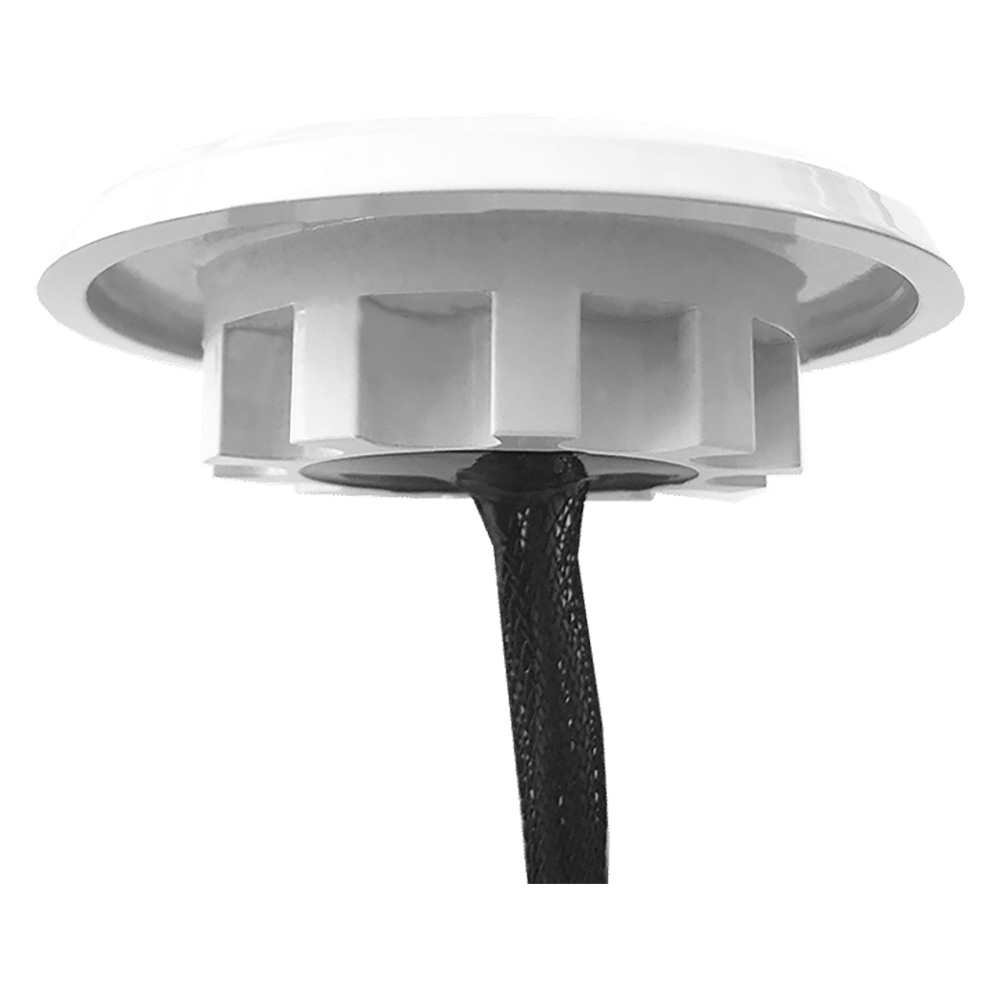 SHADOW-CASTER DOWNLIGHT BIMINI BLUE WITH WHITE HOUSING - Image 2