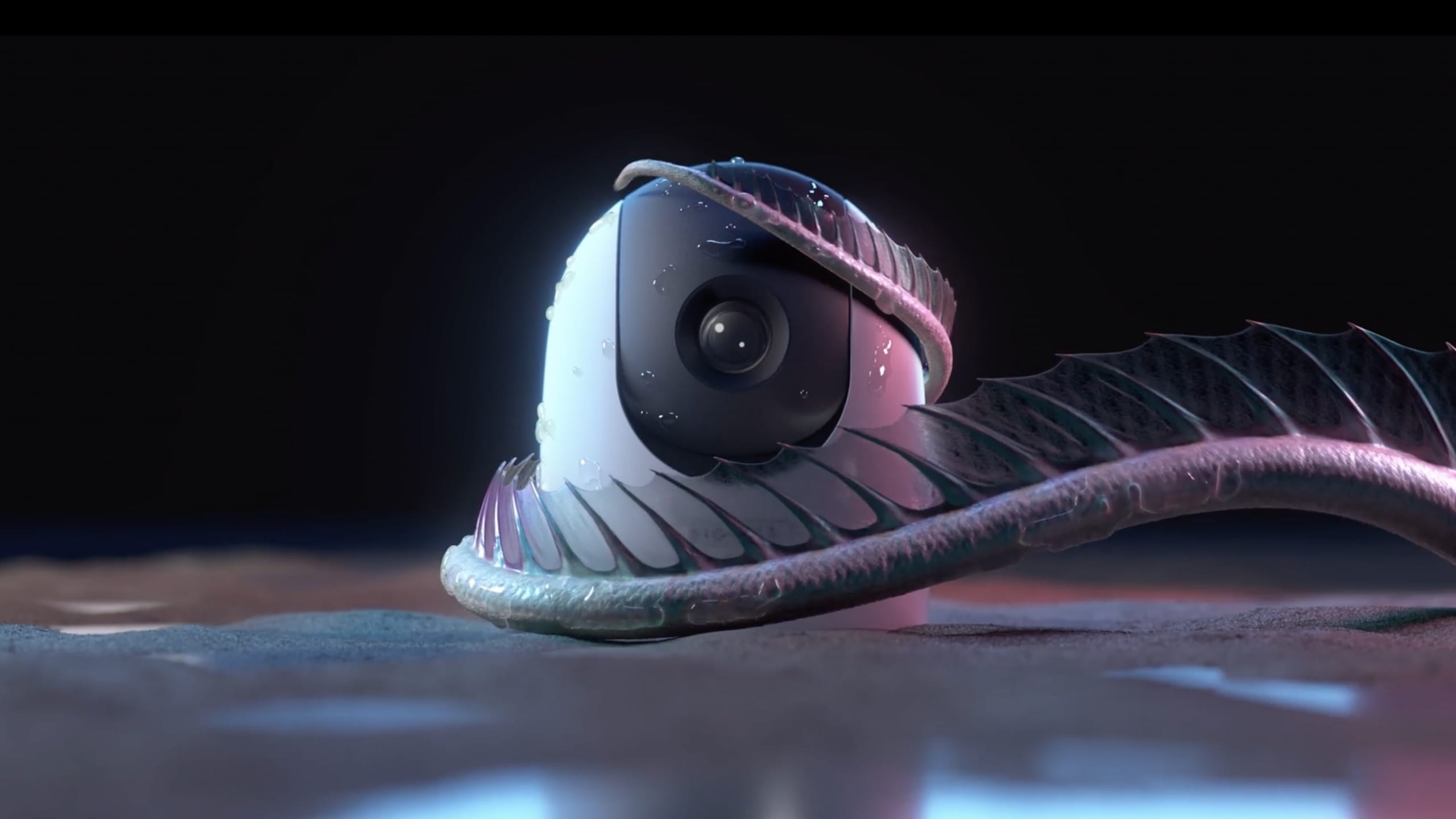 Night Vision & Cameras